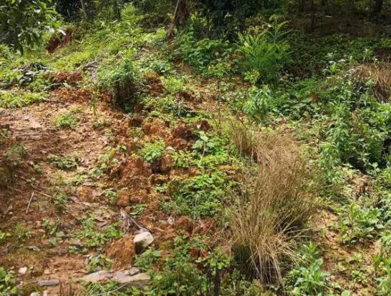 地灾监测云平台成功预警